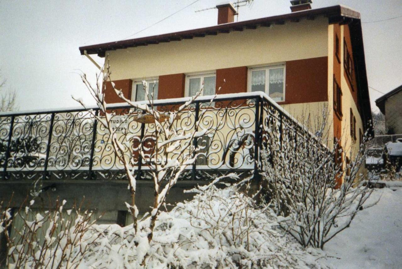 Studio Cosy Avec Vue Sur Lac Et Montagne A Gerardmer 30 M² المظهر الخارجي الصورة