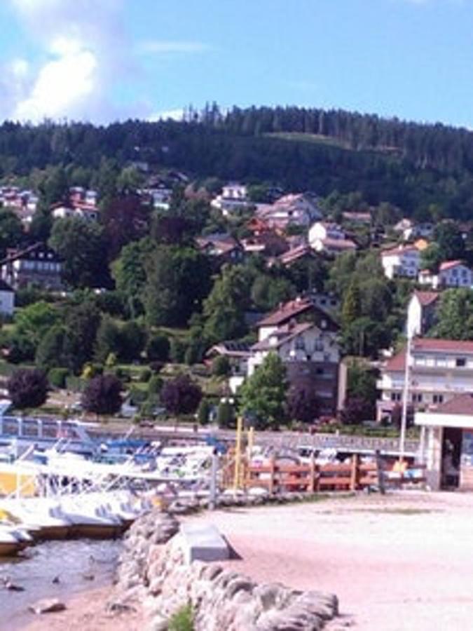 Studio Cosy Avec Vue Sur Lac Et Montagne A Gerardmer 30 M² المظهر الخارجي الصورة